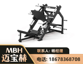 和田45°倒蹬训练器